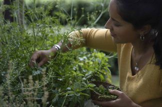 mujer revisando planta