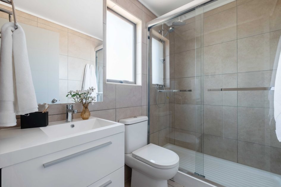 baño shower door