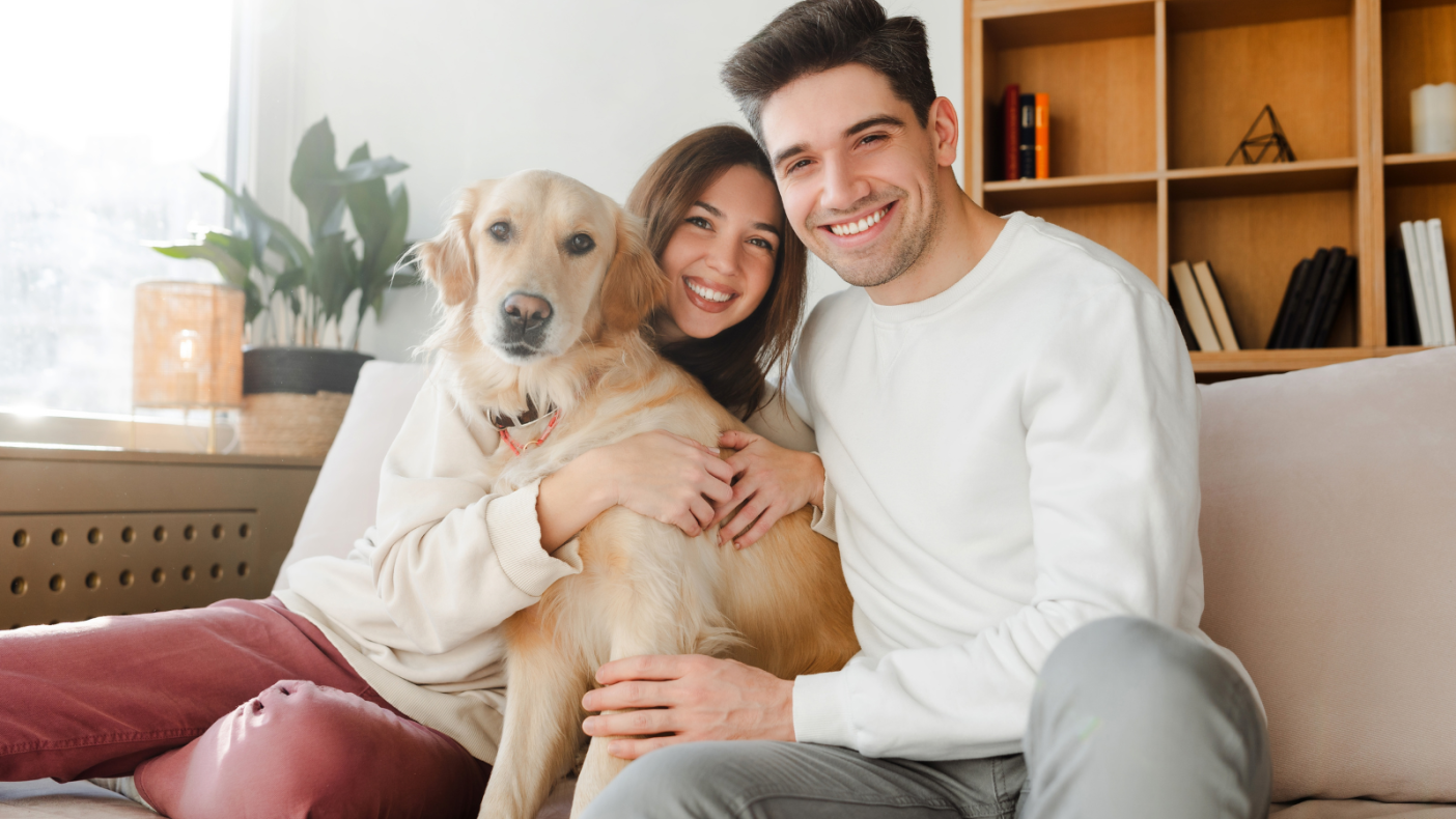 rutina-diaria-para-buscar-con-mascota