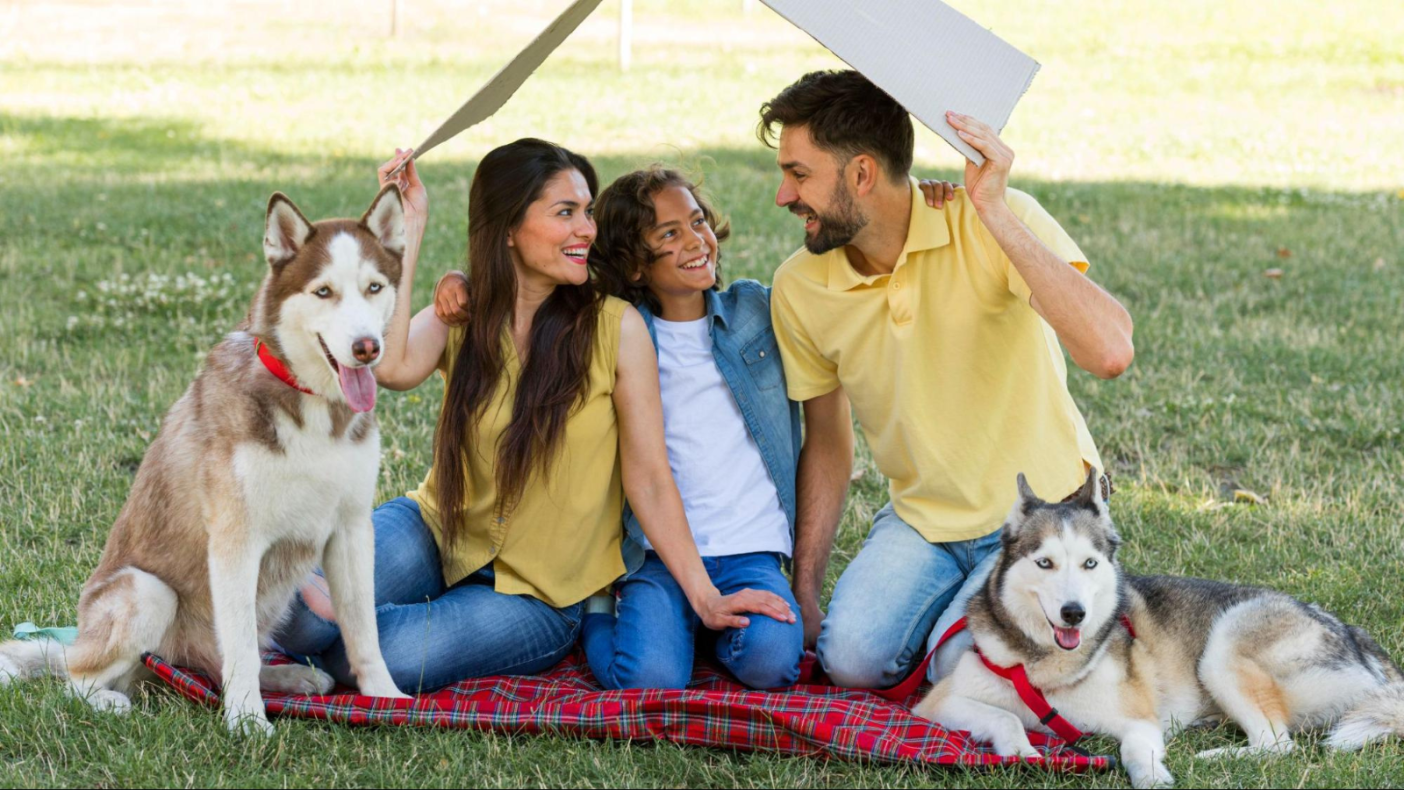 mejores-accesorios-para-tu-mascota