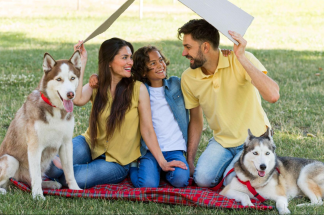 mejores-accesorios-para-tu-mascota