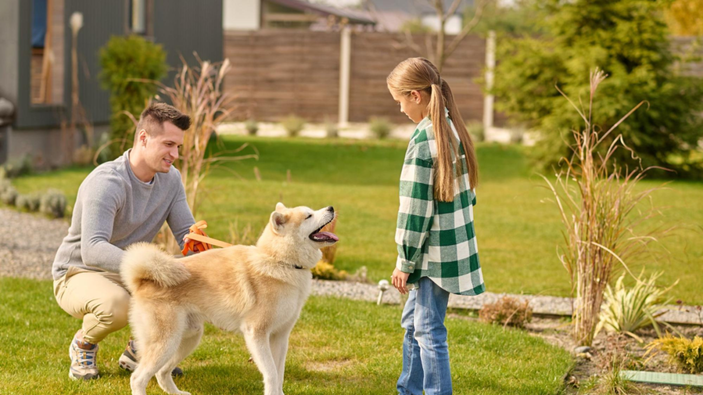 actividades-para-disfrutar-en-el-patio-con-tu-mascota