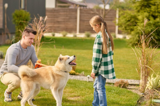 actividades-para-disfrutar-en-el-patio-con-tu-mascota