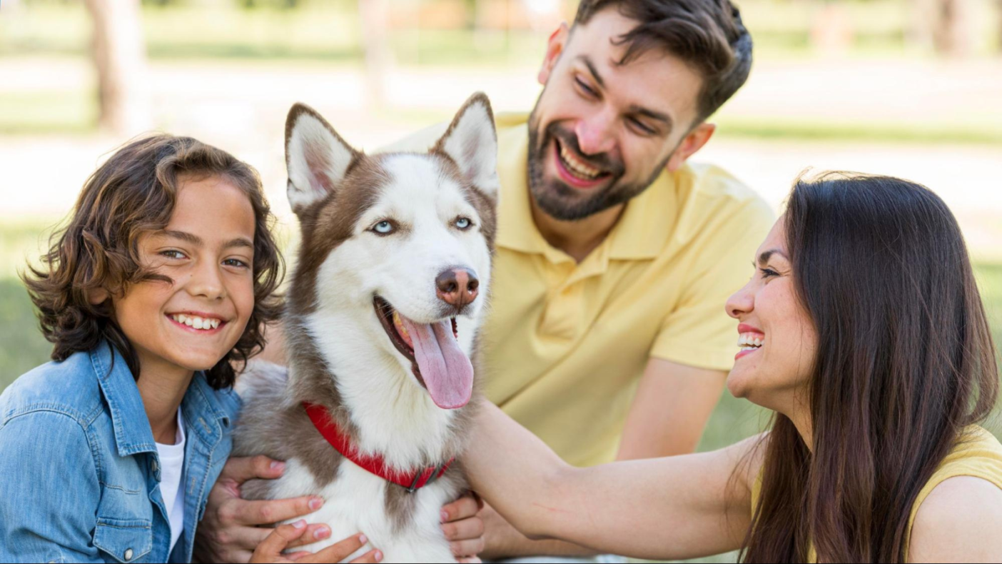 actividades-para-hacer-con-tu-mascota-en-otoño