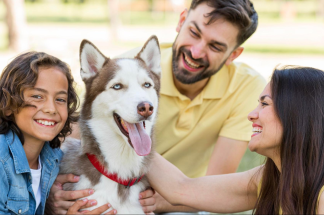 actividades-para-hacer-con-tu-mascota-en-otoño